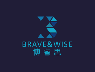 Brave&Wise博睿思咨詢公司logologo設計