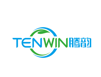 趙鵬的Tenwin 騰韻logo設計