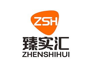 秦曉東的臻實匯logo設計