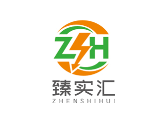 趙鵬的臻實匯logo設計