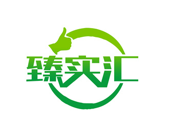 朱兵的臻實匯logo設計