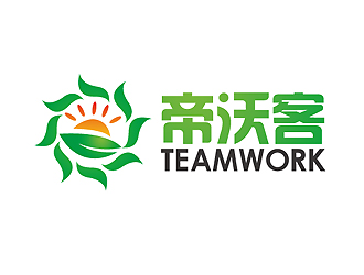 秦曉東的帝沃客logo設計