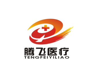 李正東的河南省騰飛醫(yī)療器械有限公司logo設計