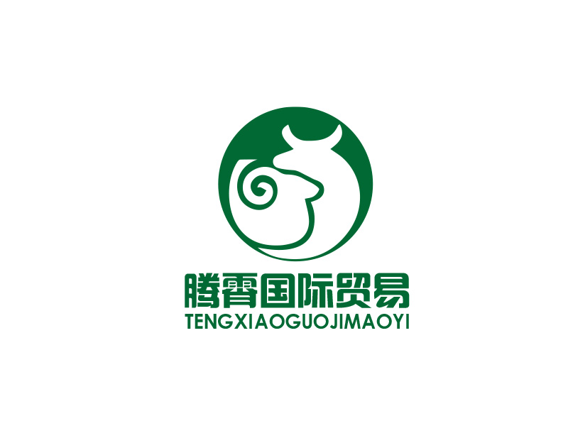 秦光華的大連騰霄國(guó)際貿(mào)易有限公司logo設(shè)計(jì)