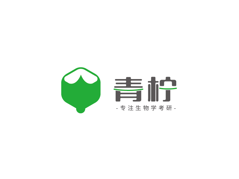 陸昌偉的青檸logo設(shè)計